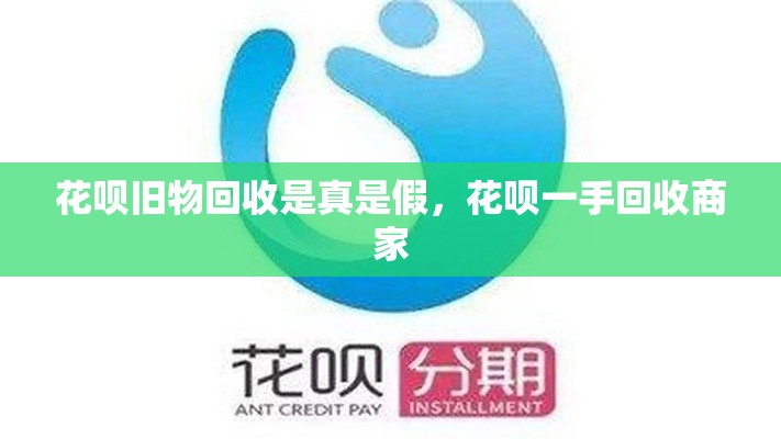 _白金日历排行榜2025，白金今日